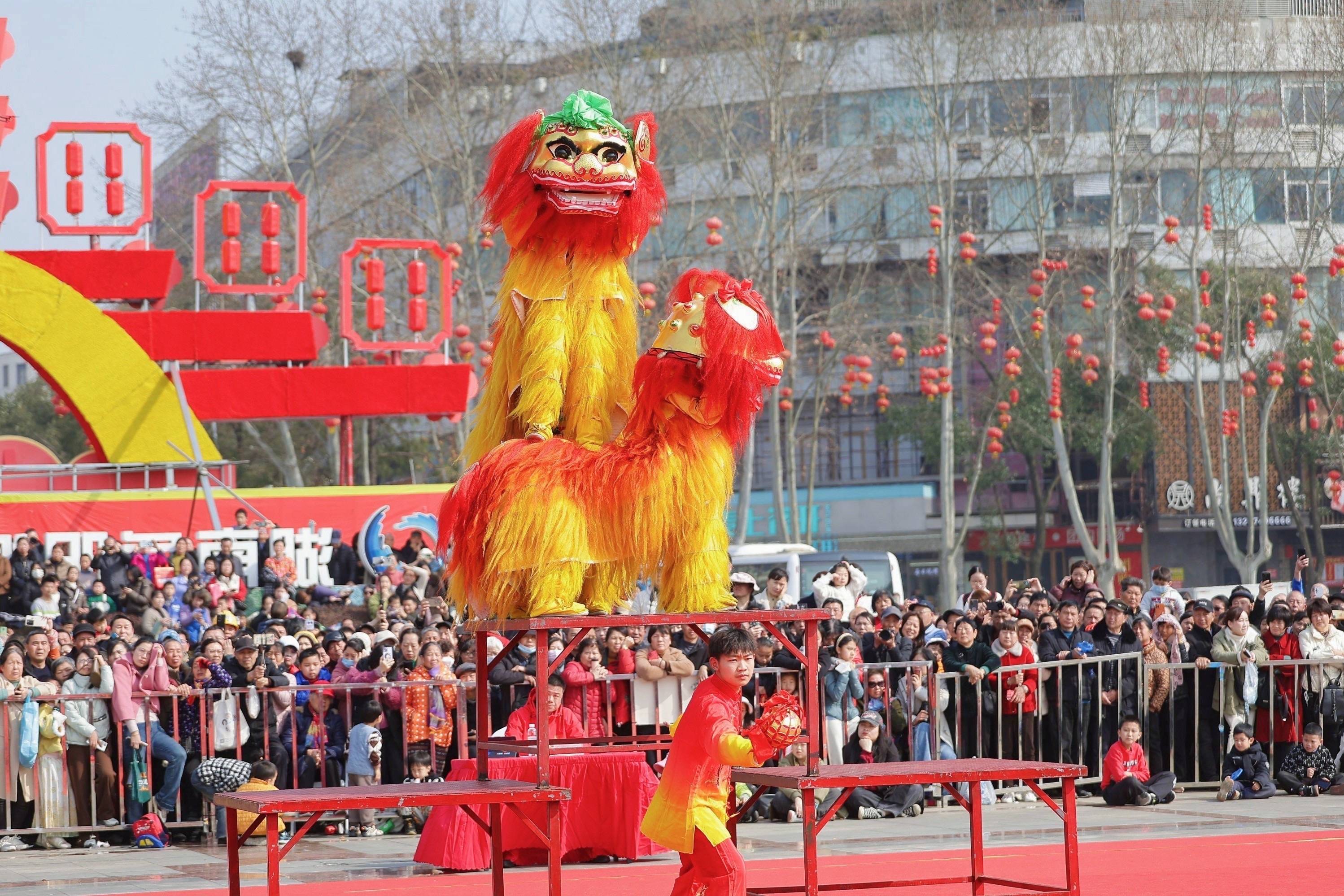 2024年黑龙江龙招港成绩查询_黑龙江龙招港招生信息网_黑龙江龙招港成绩查询入口