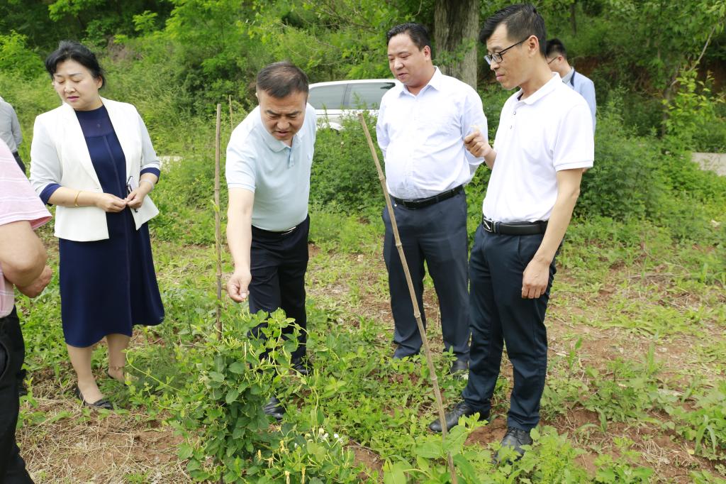 陕西科技大学教务_陕西科技大学教务系统官网_陕西科技大学教务管理系统官网