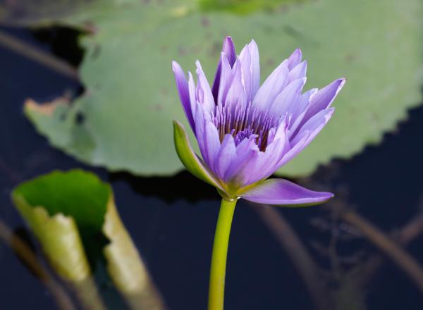 国庆中秋双节宣传语中秋节祝福_中秋国庆双庆宣传语_国庆中秋双节宣传语