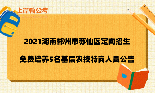 湖南招生港信息网_湖南招生信息港_湖南信息招生港官网