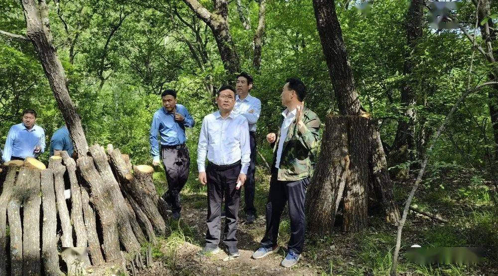 新四军关于保守军事秘密的规定_保守军事新四军秘密规定是什么_保守军事新四军秘密规定内容