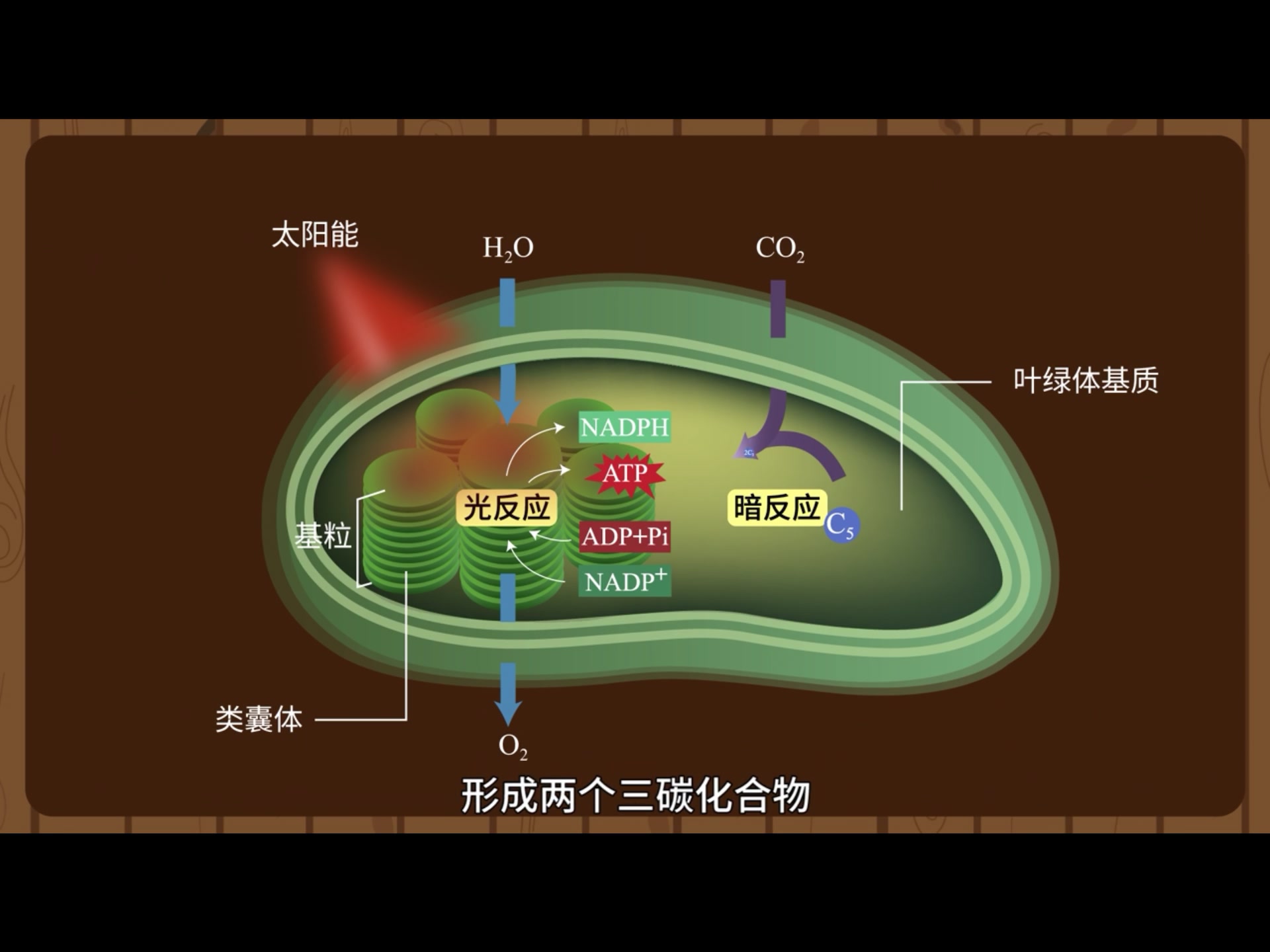 _百科的英语是什么_百科词典英语怎么说