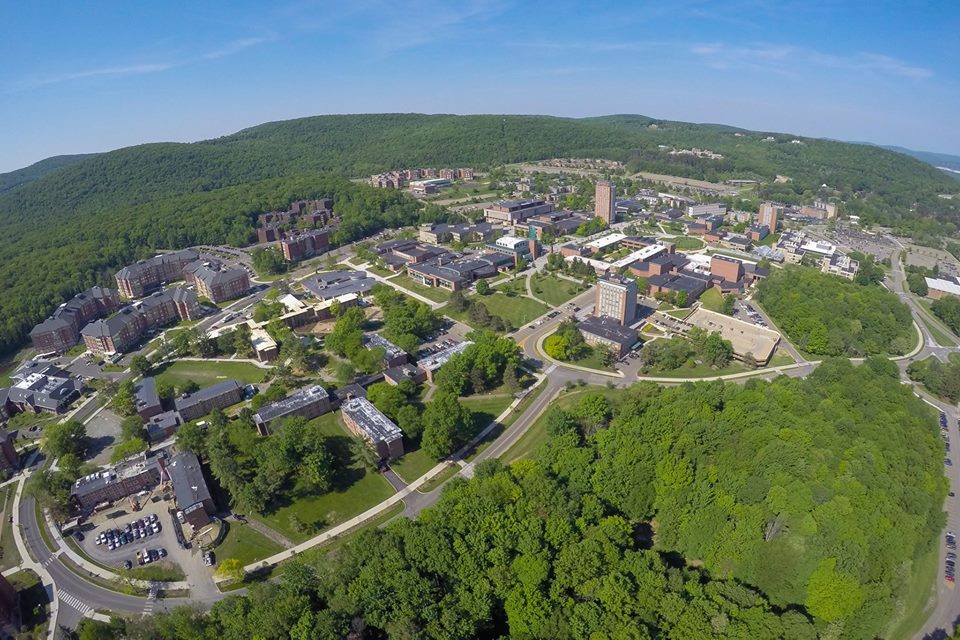 纽约州立大学石溪分校_纽约州立大学宾汉姆顿分校_纽约州立大学