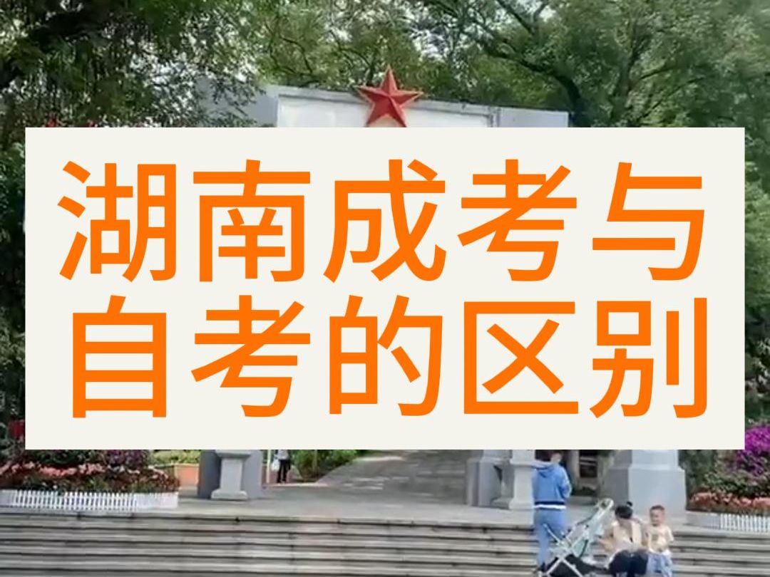 成年高考2020考试时间_2024年成人高考怎么上课_成人教育高考时间