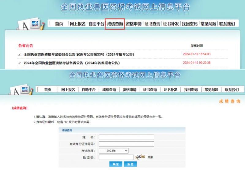 医师执业考试成绩查询时间_21年执业医师成绩查询_2024年执业医师考试成绩查询