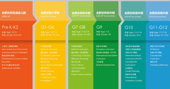 合肥高考网地址和入口_合肥高考报名入口官网_合肥高考考场查询网址