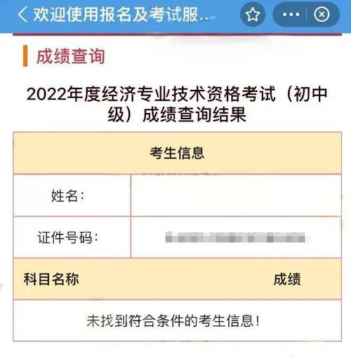 2024年药师成绩查询_药师成绩查询2020_2021药师考试成绩查询入口