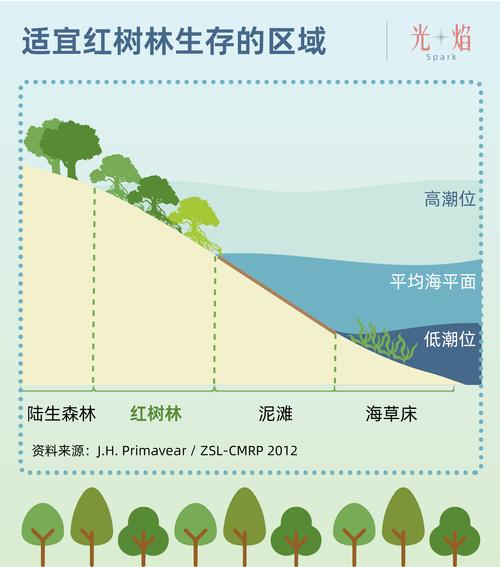 2020高考英语语法填空解析_高考英语试题语法填空_