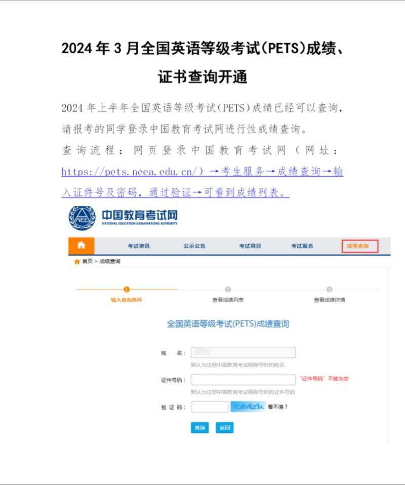 pets成绩查询入口2020_2024年pets5成绩查询_查询成绩年月日不对怎么弄