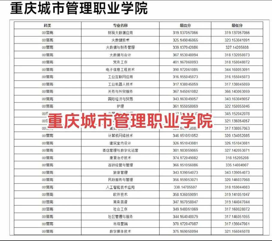 2024年重庆工商职业学院分数线_重庆工商学院多少分录取_重庆工商职业学院录取位次