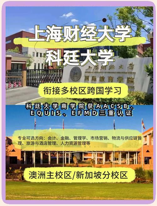 上海财经本科招生网官网_上海财经大学招生视频_上海财经大学本科招生网