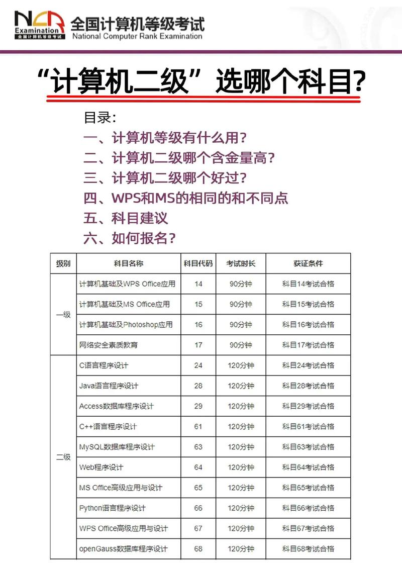 查询计算机考试等级成绩的网站_计算机等级考试成绩查询_查询全国计算机等级考试成绩